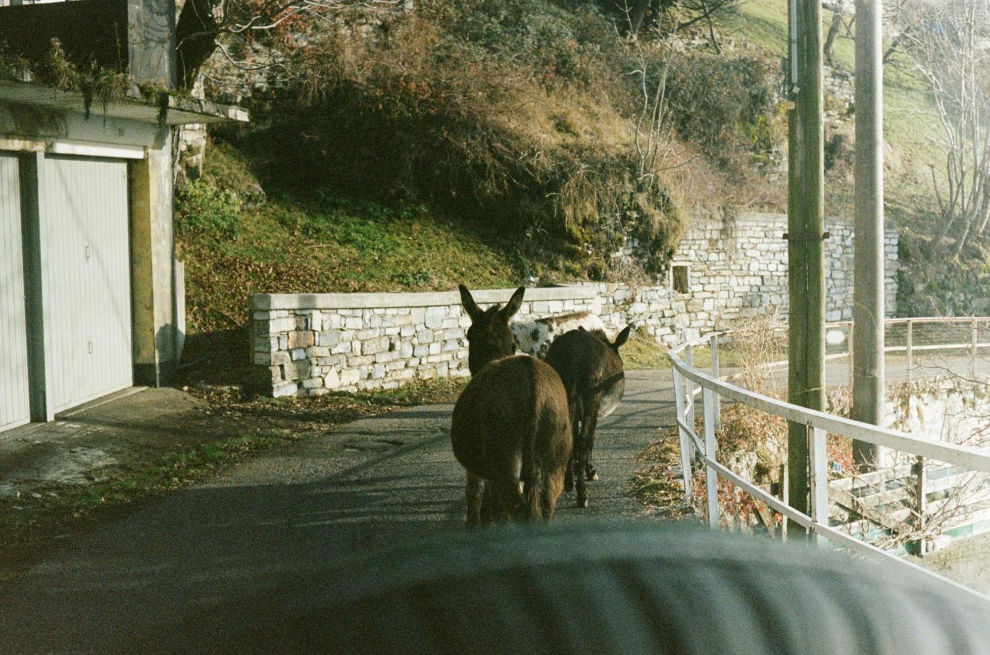 Ca' Bossi Villa Cernobbio Bagian luar foto